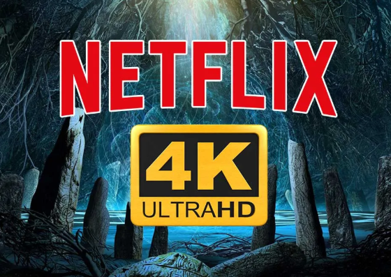 Netflix 4K 2 Pantalla